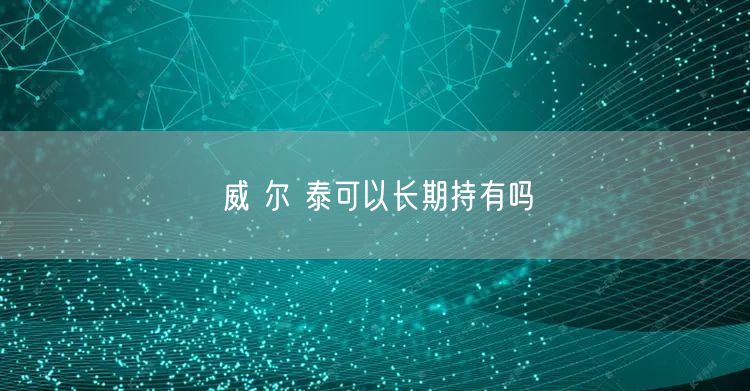 威 尔 泰可以长期持有吗