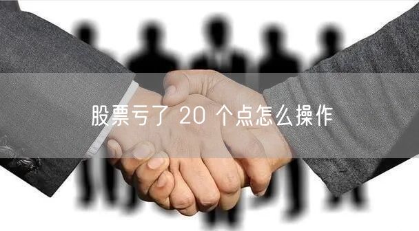 股票亏了 20 个点怎么操作