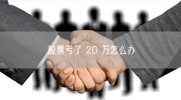 股票亏了 20 万怎么办